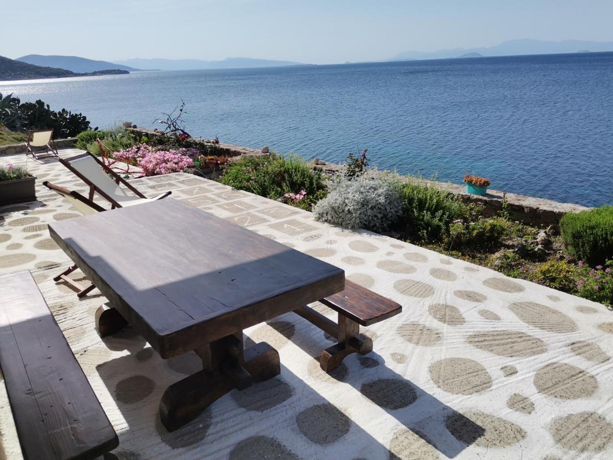 הוילה פרדיקה Almyra Seaside מראה חיצוני תמונה